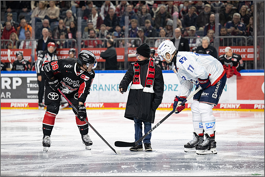 PENNY DEL; Koelner Haie-Adler Mannheim; Koeln, 02.02.2025