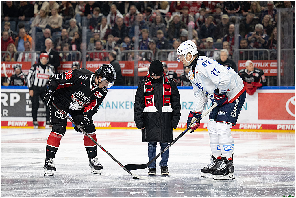 PENNY DEL; Koelner Haie-Adler Mannheim; Koeln, 02.02.2025