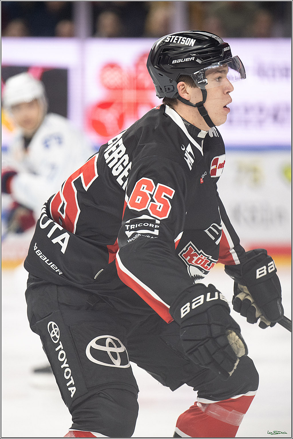 PENNY DEL; Koelner Haie-Adler Mannheim; Koeln, 02.02.2025