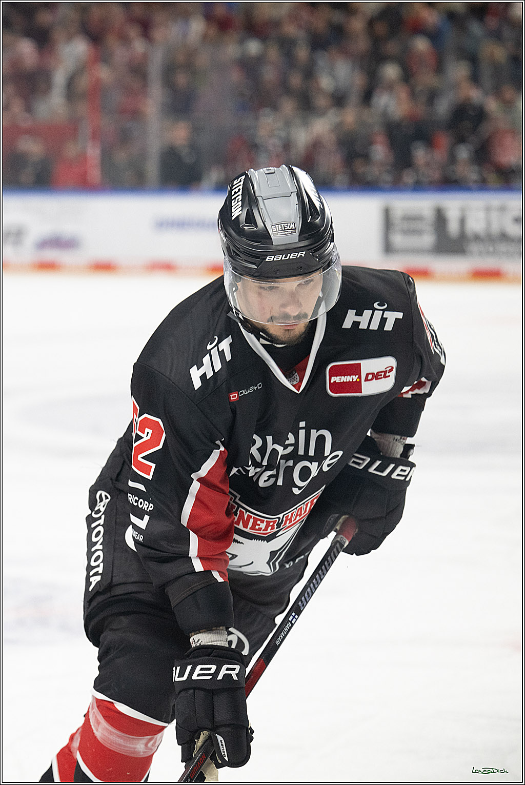 PENNY DEL; Koelner Haie-Adler Mannheim; Koeln, 02.02.2025