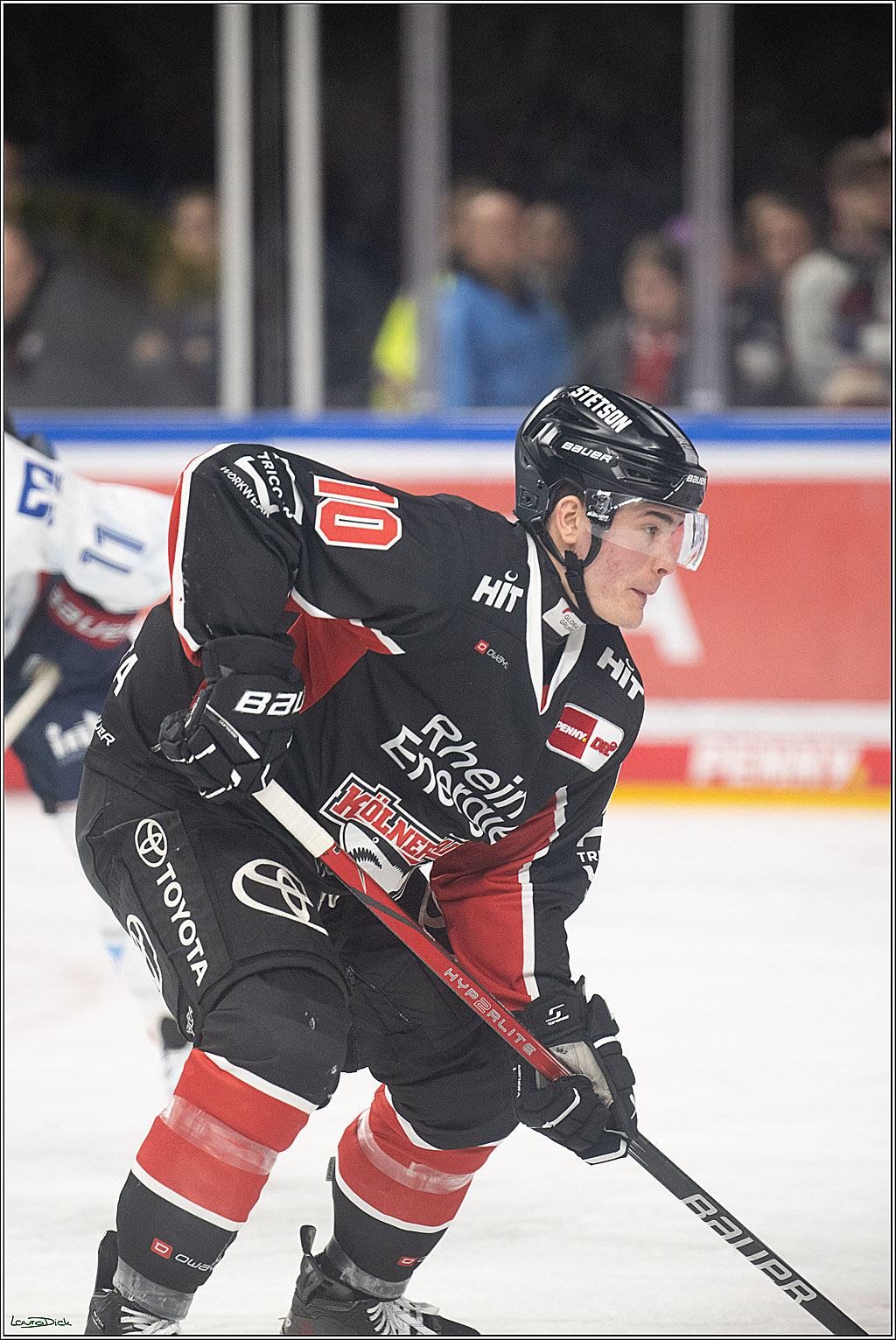 PENNY DEL; Koelner Haie-Adler Mannheim; Koeln, 02.02.2025