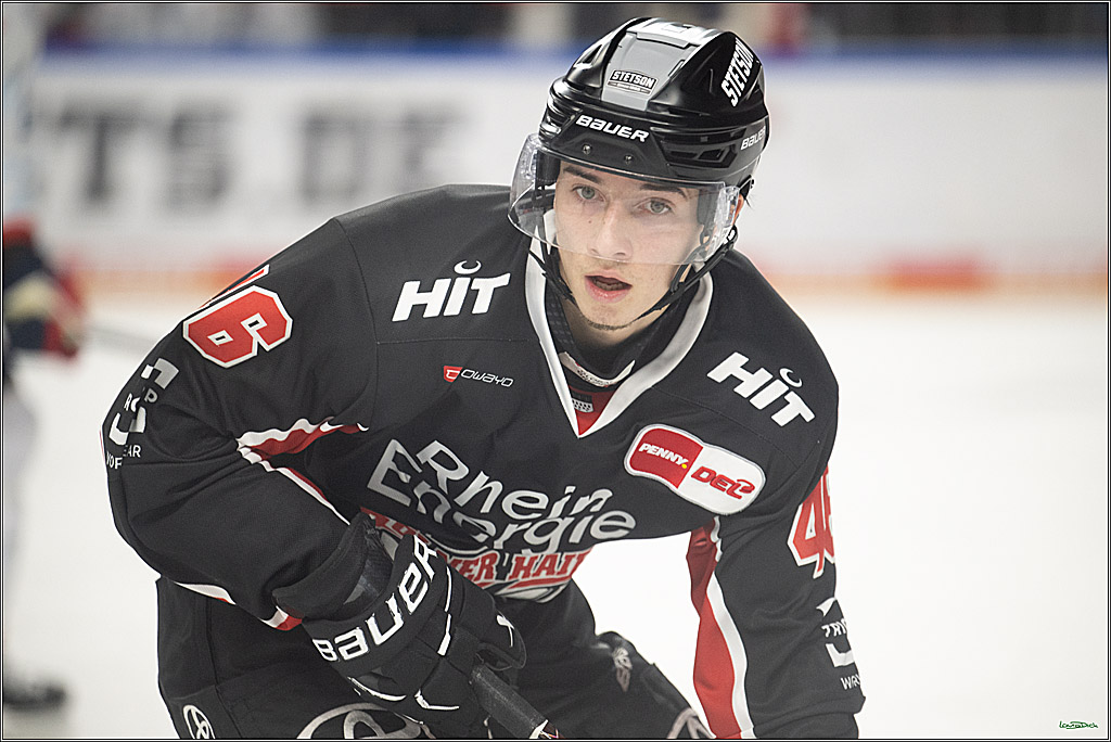 PENNY DEL; Koelner Haie-Adler Mannheim; Koeln, 02.02.2025