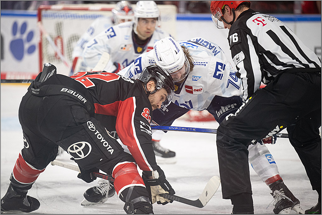 PENNY DEL; Koelner Haie-Adler Mannheim; Koeln, 02.02.2025