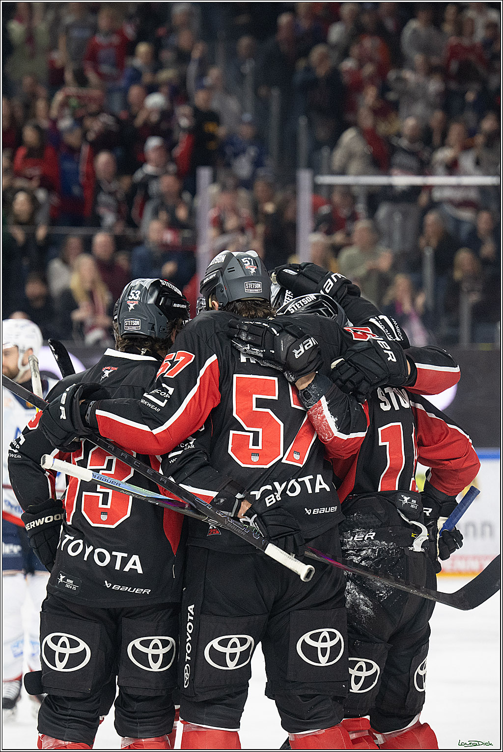 PENNY DEL; Koelner Haie-Adler Mannheim; Koeln, 02.02.2025