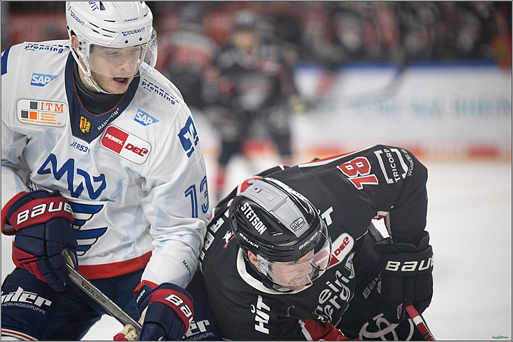 PENNY DEL; Koelner Haie-Adler Mannheim; Koeln, 02.02.2025