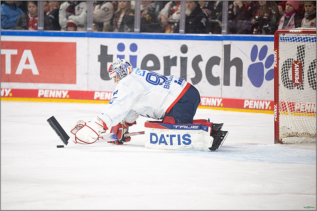 PENNY DEL; Koelner Haie-Adler Mannheim; Koeln, 02.02.2025