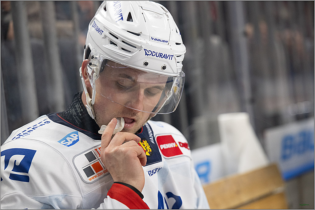 PENNY DEL; Koelner Haie-Adler Mannheim; Koeln, 02.02.2025