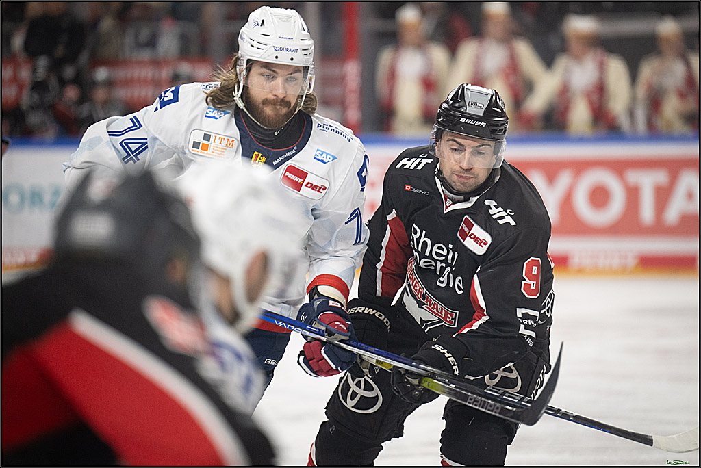PENNY DEL; Koelner Haie-Adler Mannheim; Koeln, 02.02.2025