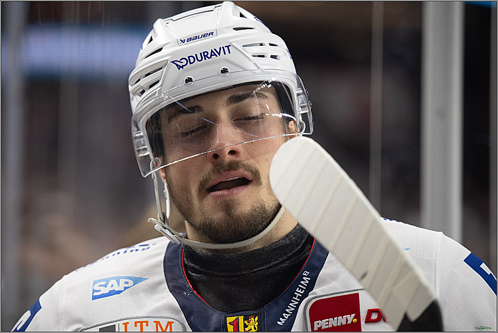 PENNY DEL; Koelner Haie-Adler Mannheim; Koeln, 02.02.2025