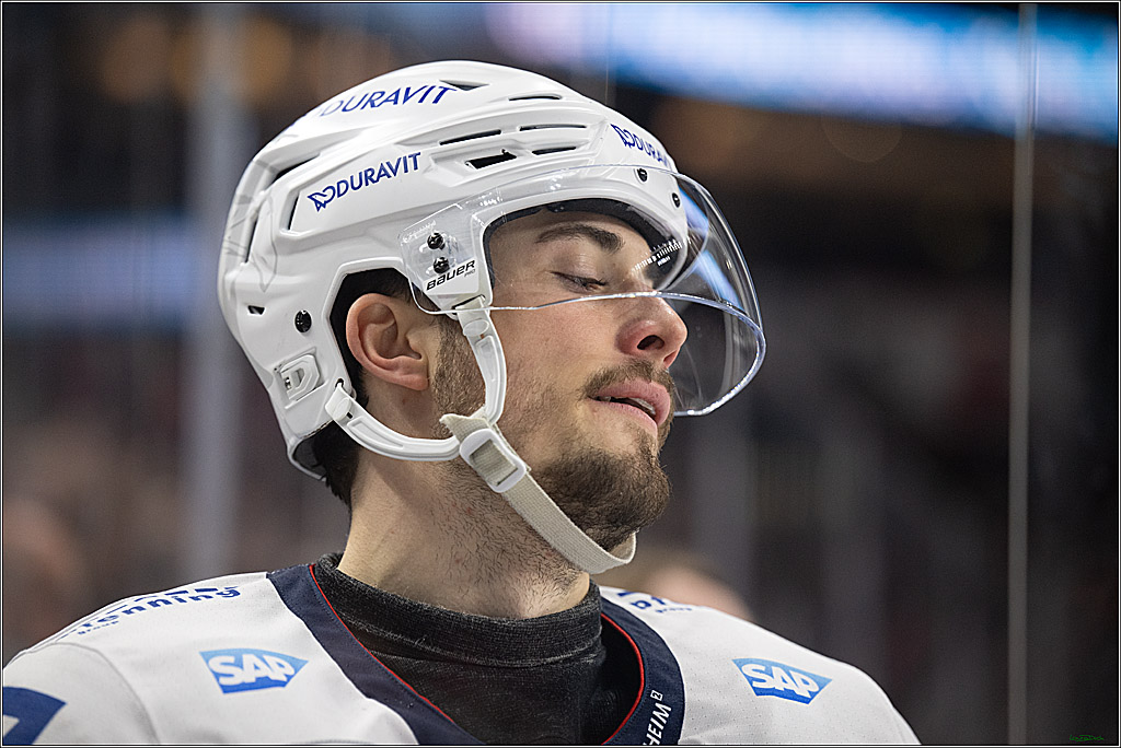 PENNY DEL; Koelner Haie-Adler Mannheim; Koeln, 02.02.2025