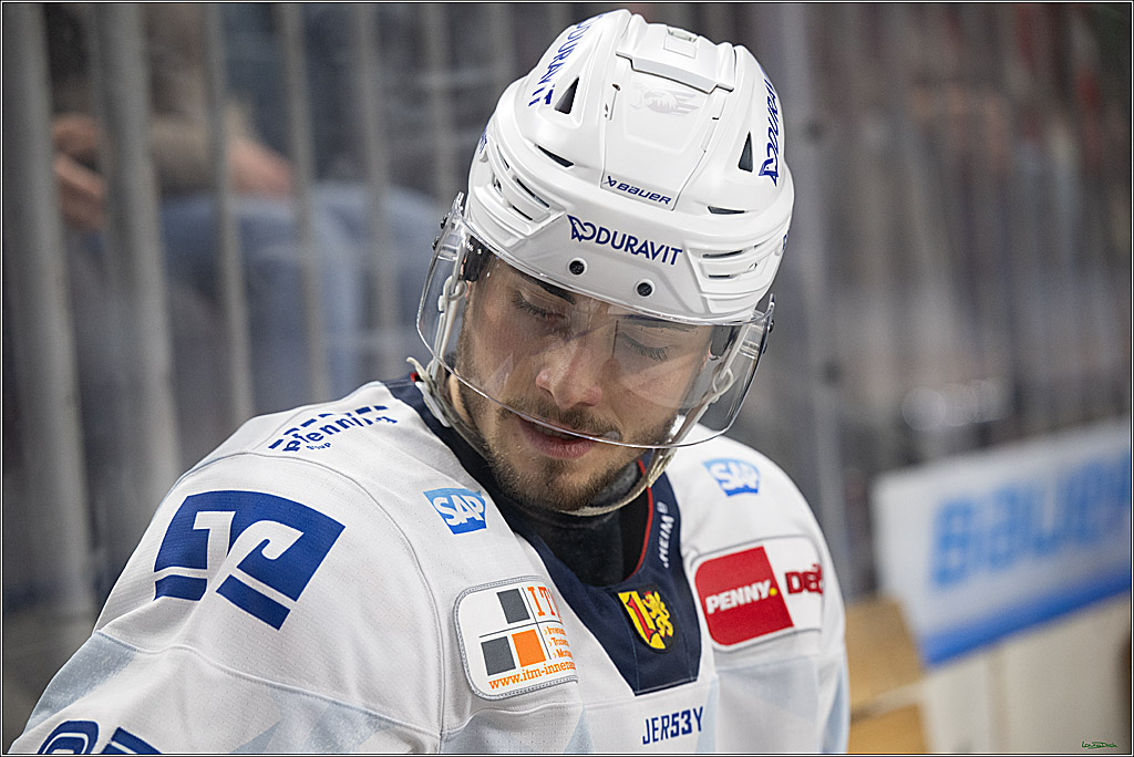 PENNY DEL; Koelner Haie-Adler Mannheim; Koeln, 02.02.2025