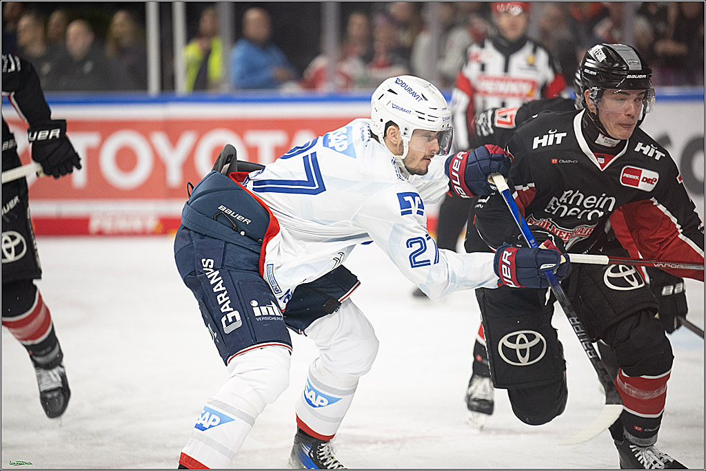 PENNY DEL; Koelner Haie-Adler Mannheim; Koeln, 02.02.2025