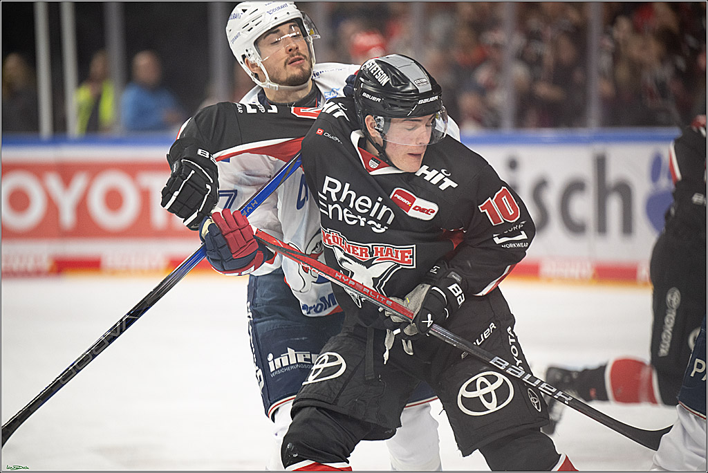 PENNY DEL; Koelner Haie-Adler Mannheim; Koeln, 02.02.2025