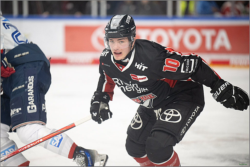 PENNY DEL; Koelner Haie-Adler Mannheim; Koeln, 02.02.2025