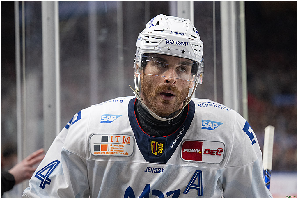 PENNY DEL; Koelner Haie-Adler Mannheim; Koeln, 02.02.2025