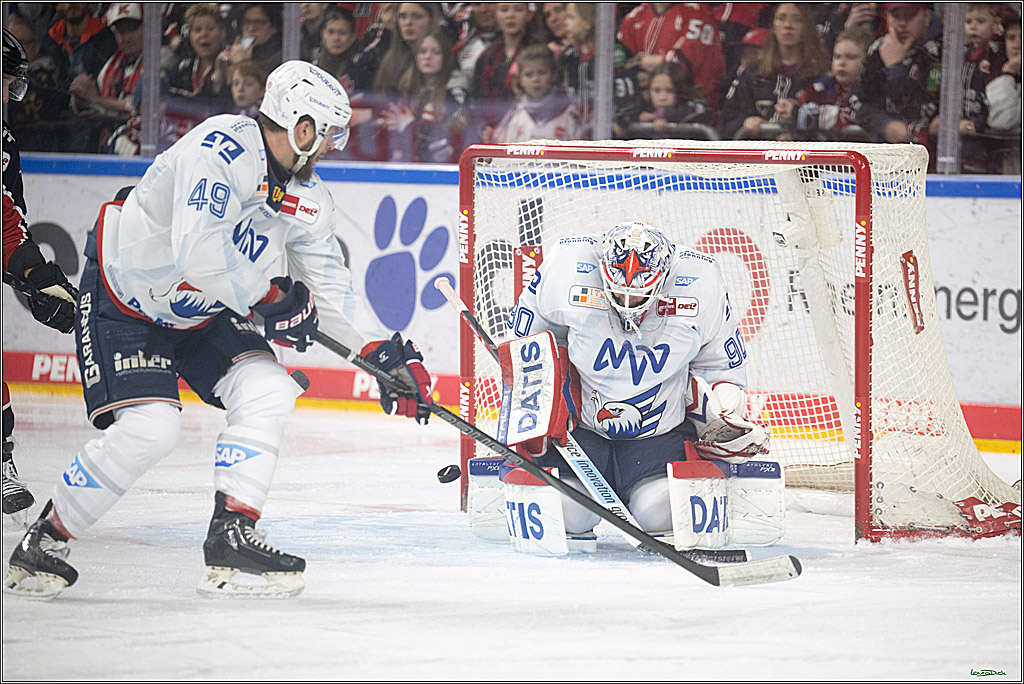 PENNY DEL; Koelner Haie-Adler Mannheim; Koeln, 02.02.2025
