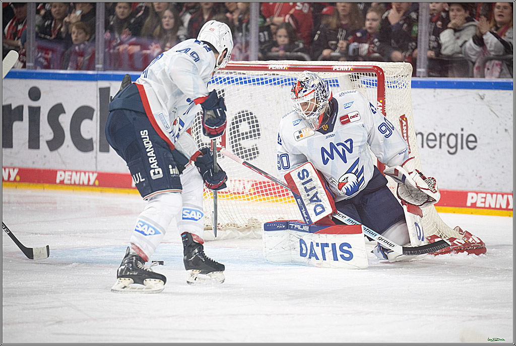 PENNY DEL; Koelner Haie-Adler Mannheim; Koeln, 02.02.2025