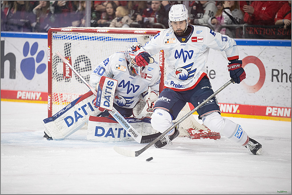 PENNY DEL; Koelner Haie-Adler Mannheim; Koeln, 02.02.2025