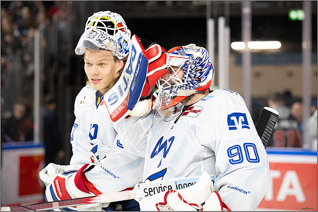 PENNY DEL; Koelner Haie-Adler Mannheim; Koeln, 02.02.2025