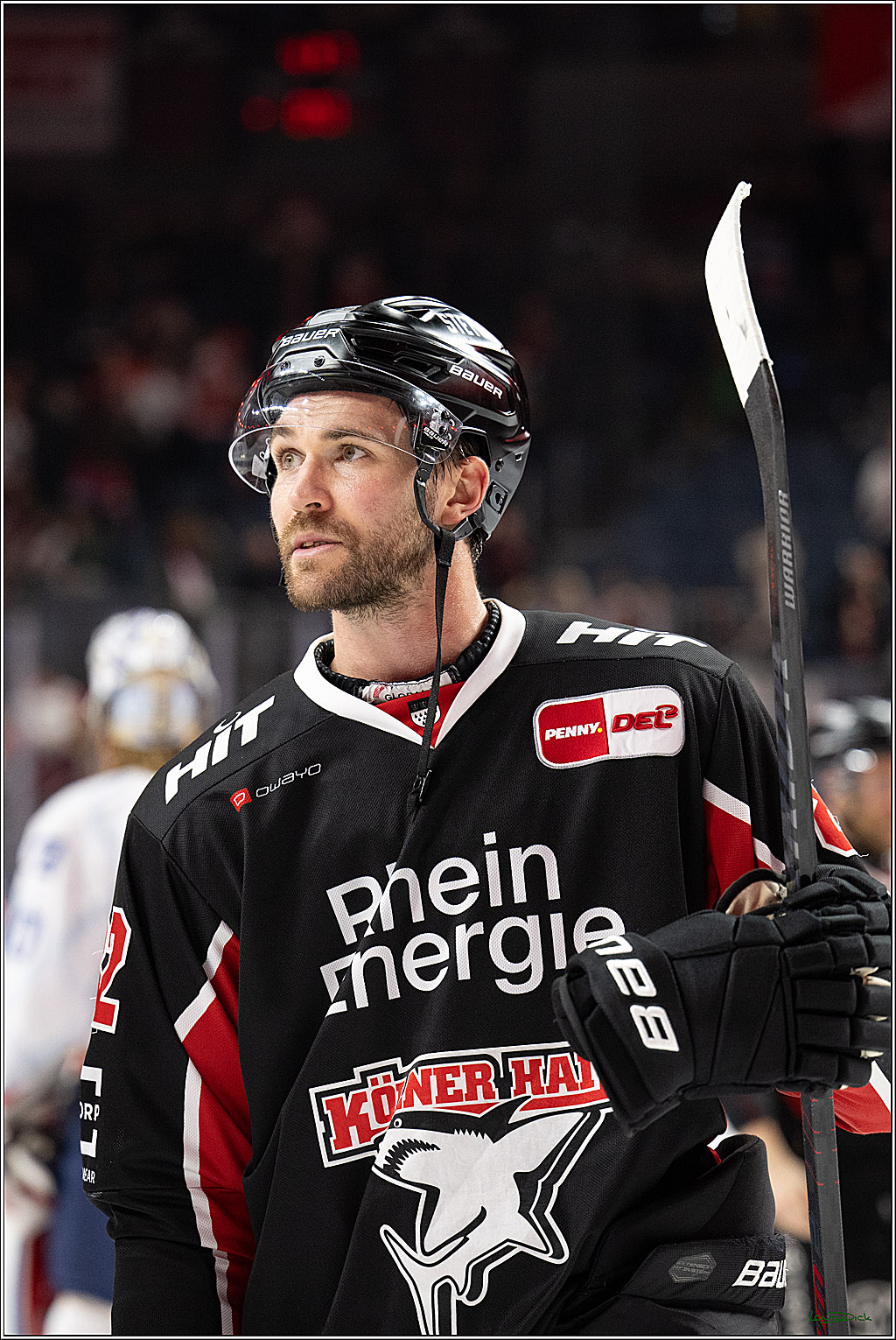 PENNY DEL; Koelner Haie-Adler Mannheim; Koeln, 02.02.2025