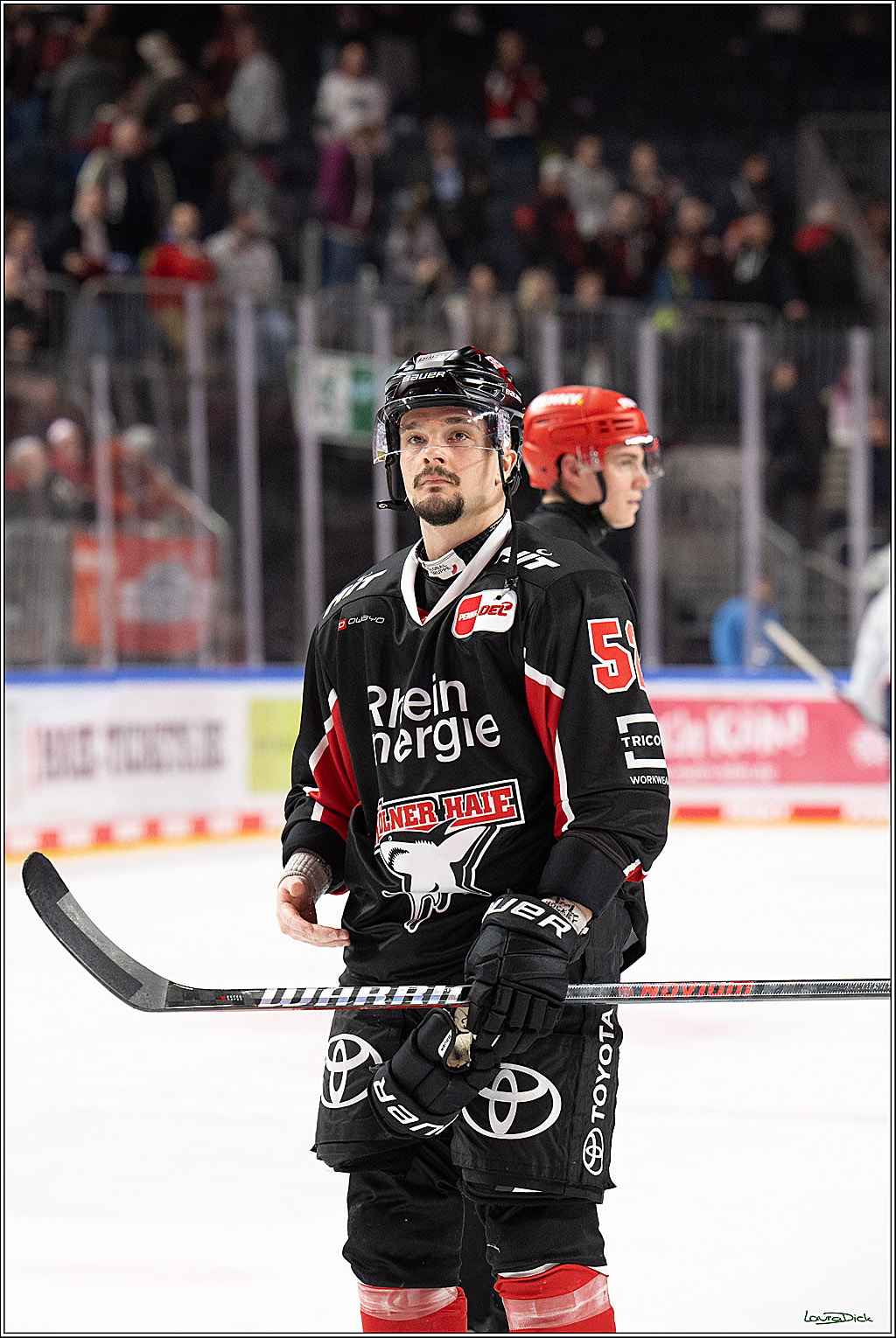 PENNY DEL; Koelner Haie-Adler Mannheim; Koeln, 02.02.2025