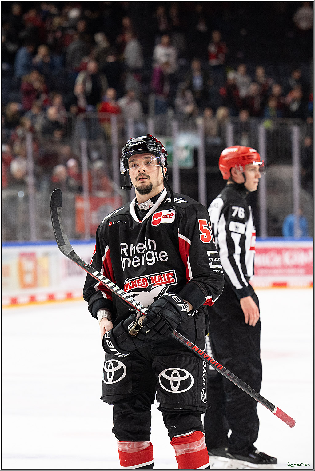 PENNY DEL; Koelner Haie-Adler Mannheim; Koeln, 02.02.2025
