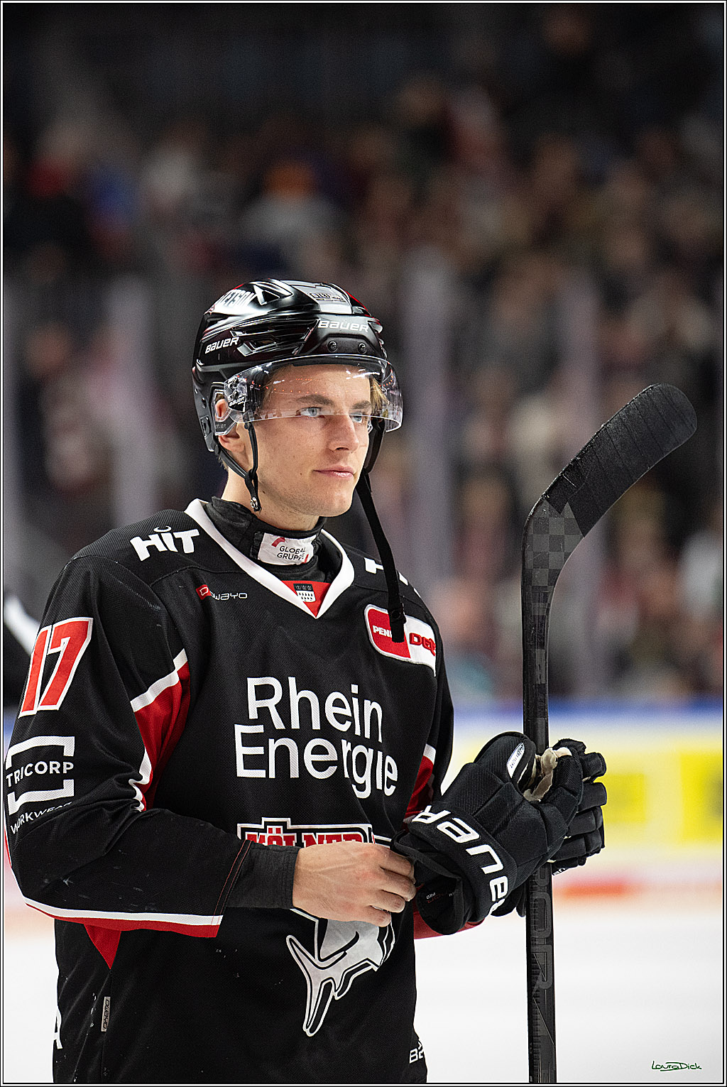 PENNY DEL; Koelner Haie-Adler Mannheim; Koeln, 02.02.2025