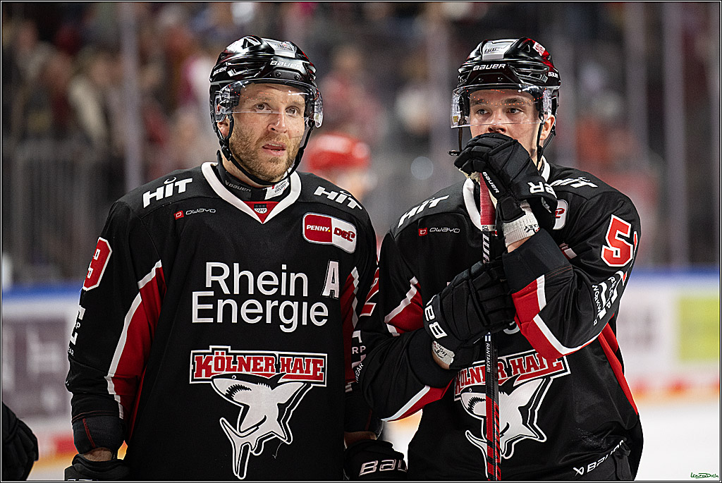 PENNY DEL; Koelner Haie-Adler Mannheim; Koeln, 02.02.2025