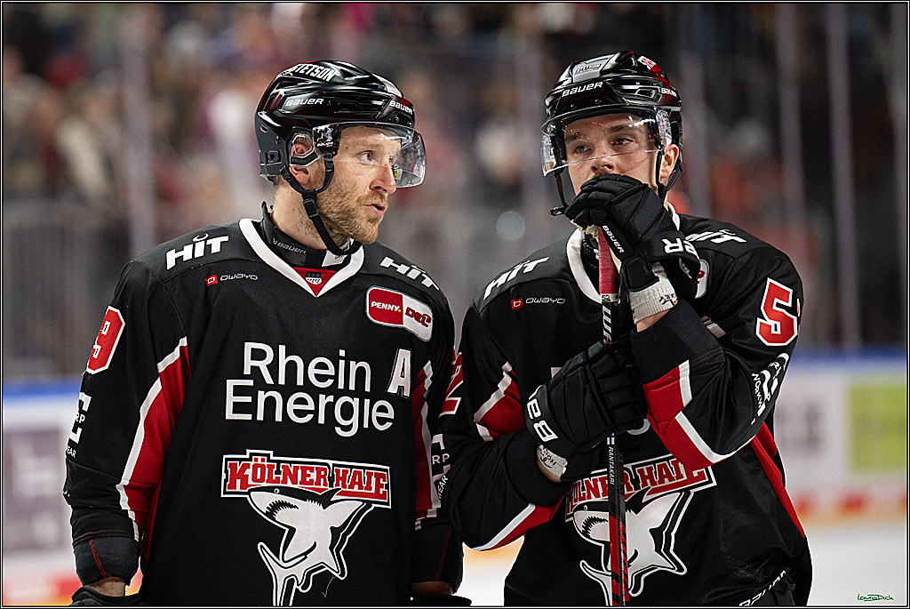 PENNY DEL; Koelner Haie-Adler Mannheim; Koeln, 02.02.2025