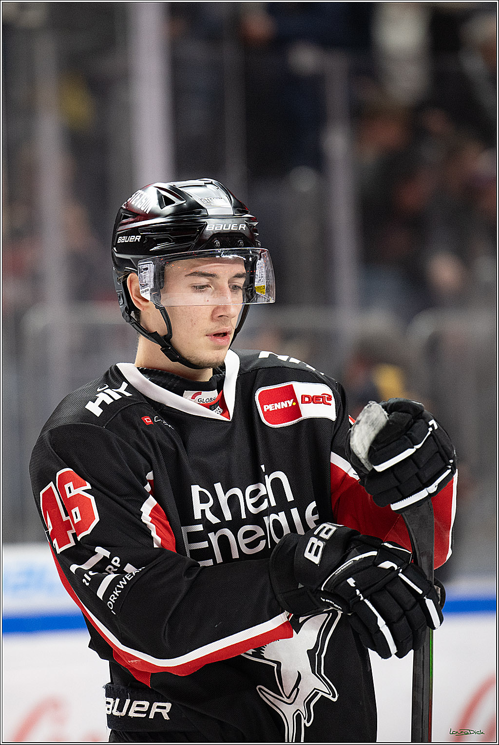 PENNY DEL; Koelner Haie-Adler Mannheim; Koeln, 02.02.2025