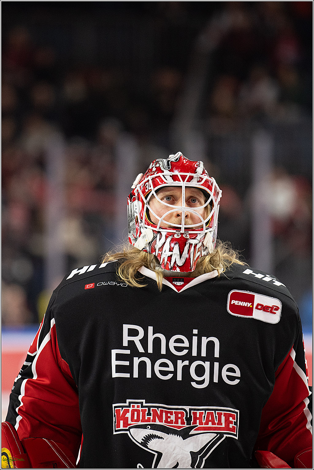 PENNY DEL; Koelner Haie-Adler Mannheim; Koeln, 02.02.2025