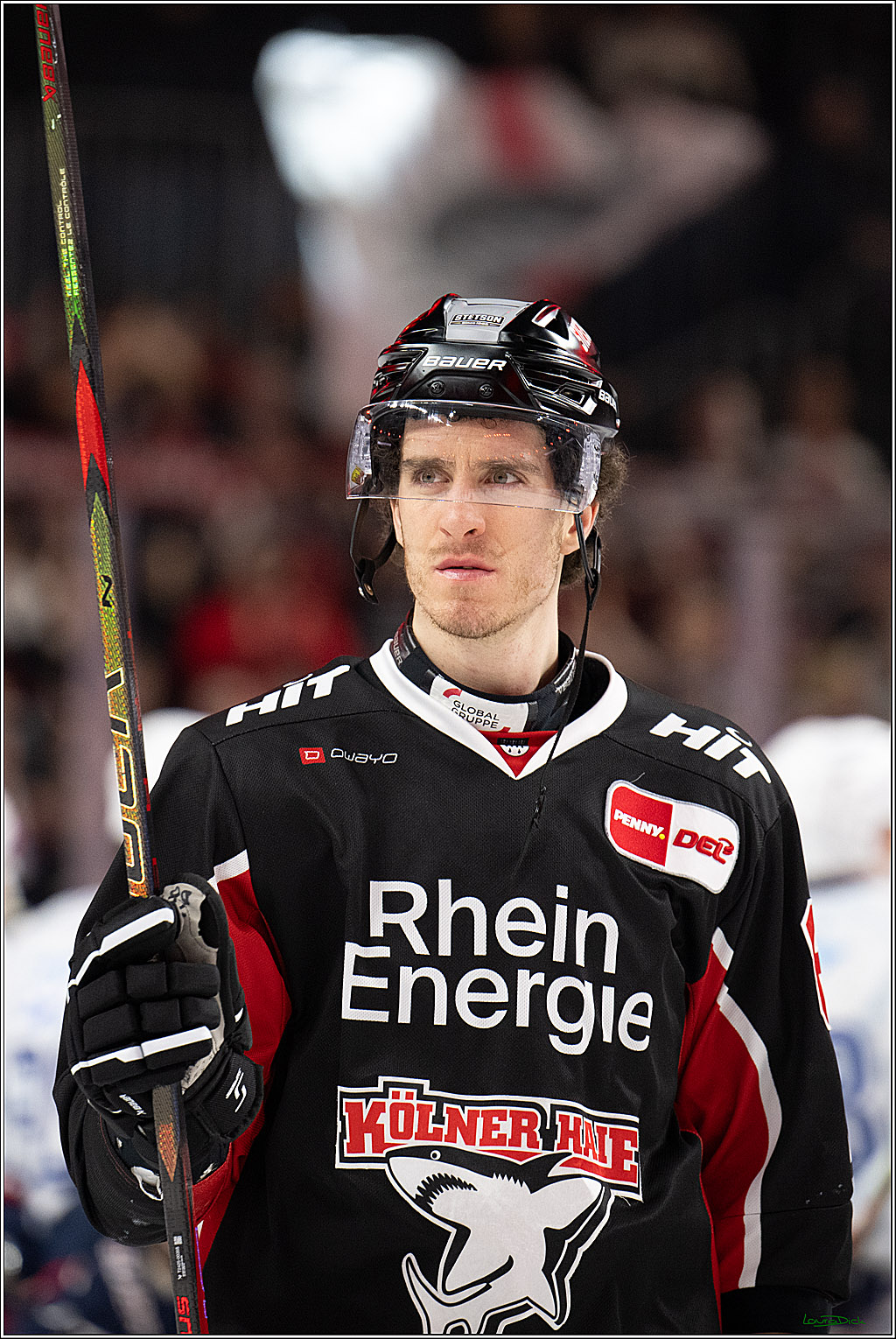 PENNY DEL; Koelner Haie-Adler Mannheim; Koeln, 02.02.2025