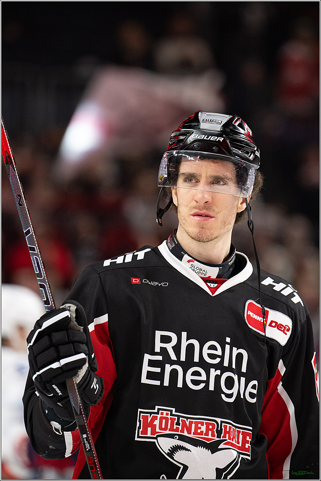 PENNY DEL; Koelner Haie-Adler Mannheim; Koeln, 02.02.2025