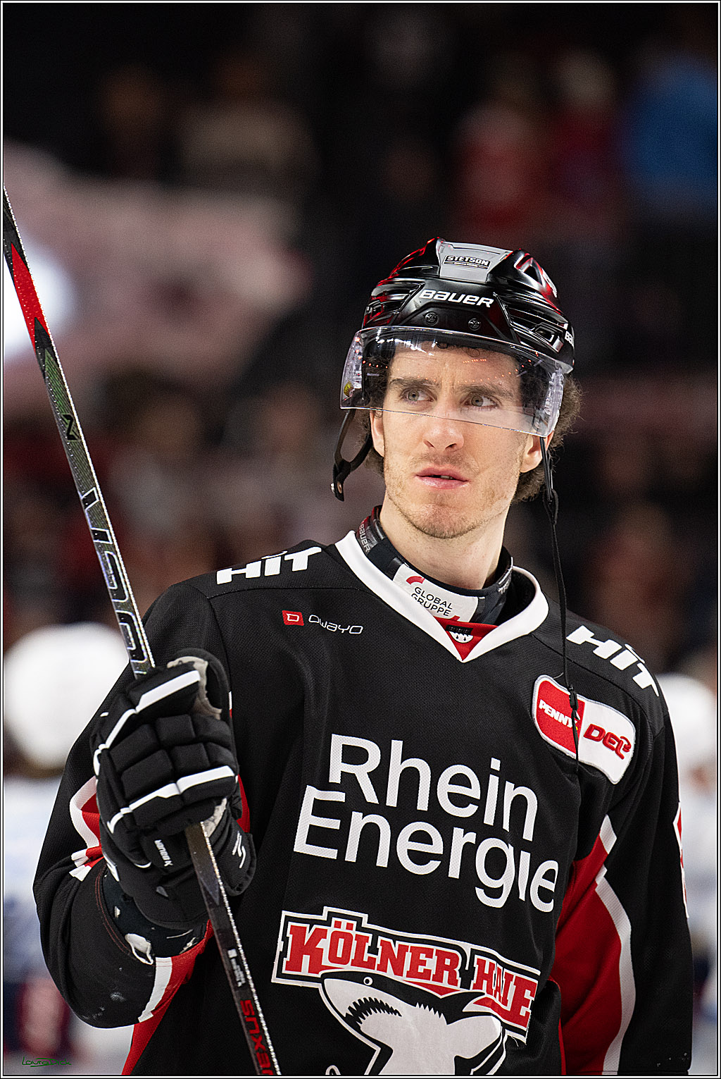 PENNY DEL; Koelner Haie-Adler Mannheim; Koeln, 02.02.2025