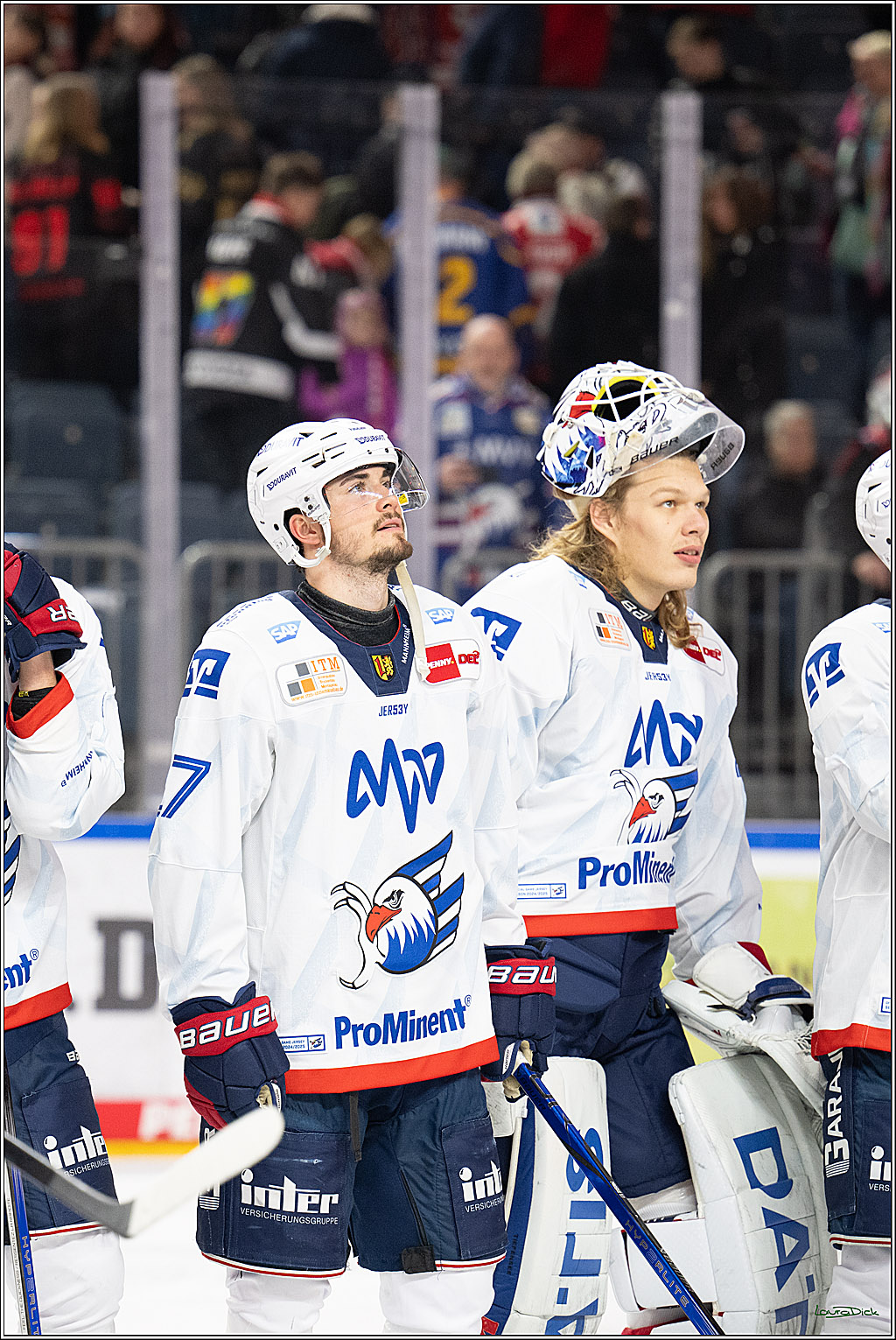 PENNY DEL; Koelner Haie-Adler Mannheim; Koeln, 02.02.2025