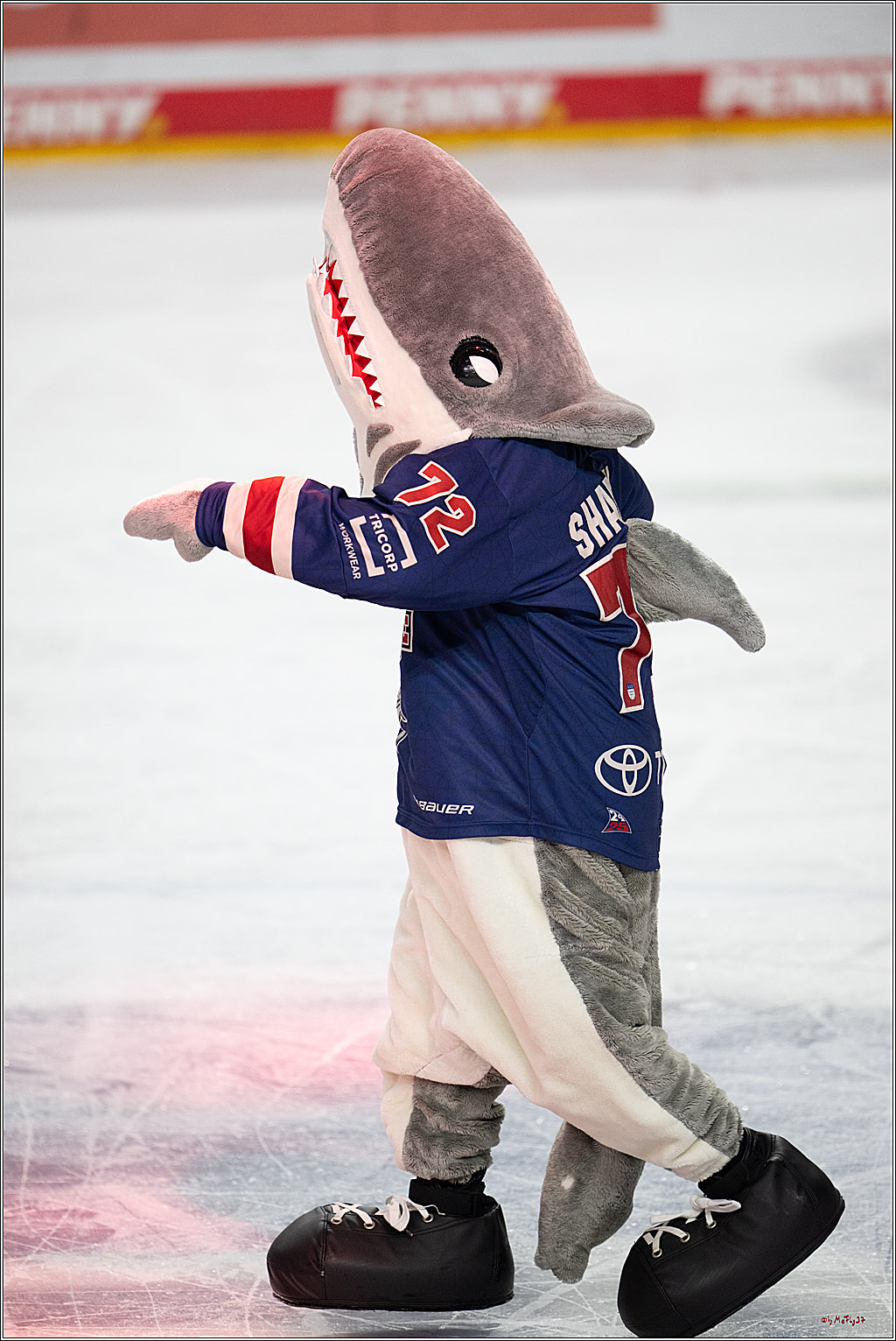 PENNY DEL 1; Kölner Haie - Iserlohn Roosters; Köln, 04.03.2025
