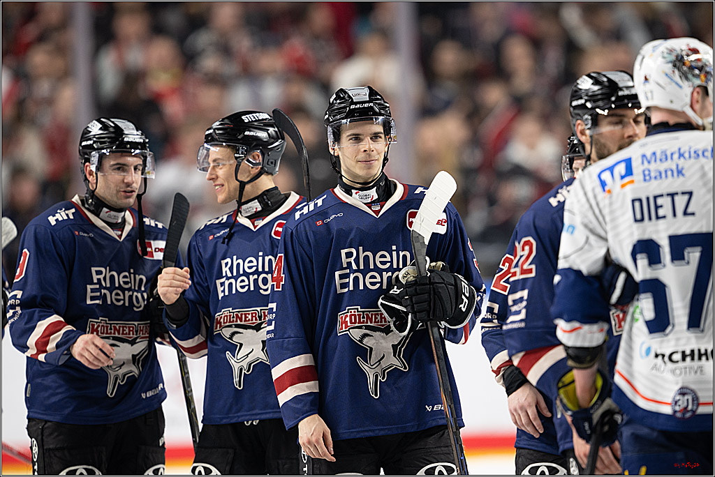 PENNY DEL 1; Kölner Haie - Iserlohn Roosters; Köln, 04.03.2025