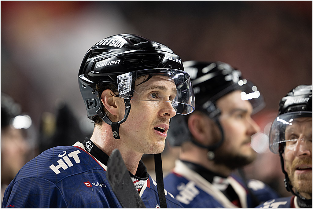 PENNY DEL 1; Kölner Haie - Iserlohn Roosters; Köln, 04.03.2025