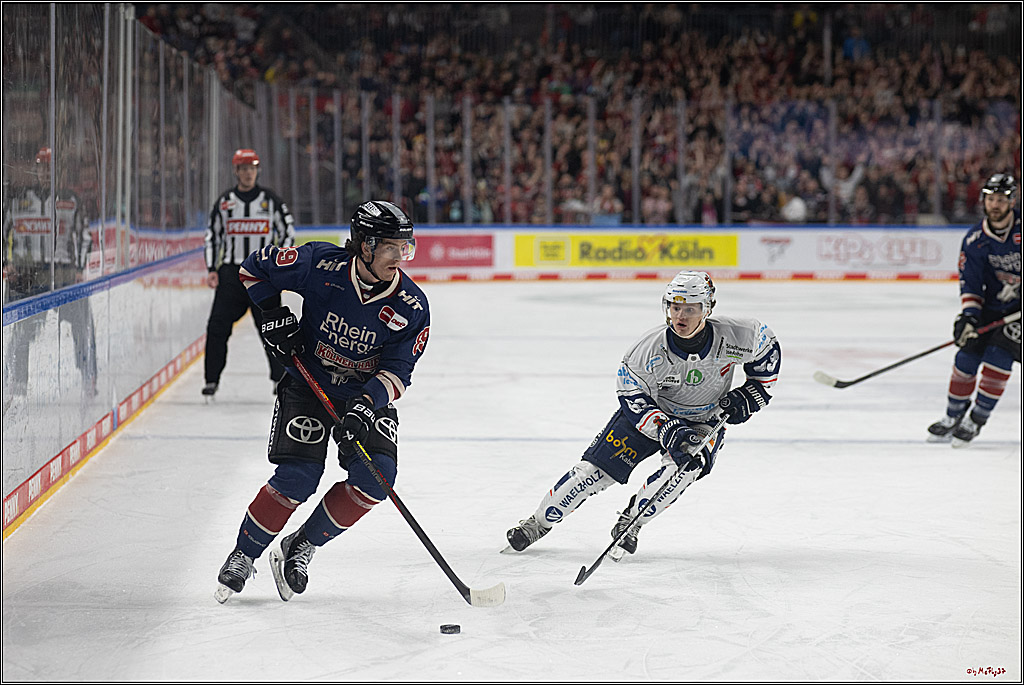 PENNY DEL 1; Kölner Haie - Iserlohn Roosters; Köln, 04.03.2025