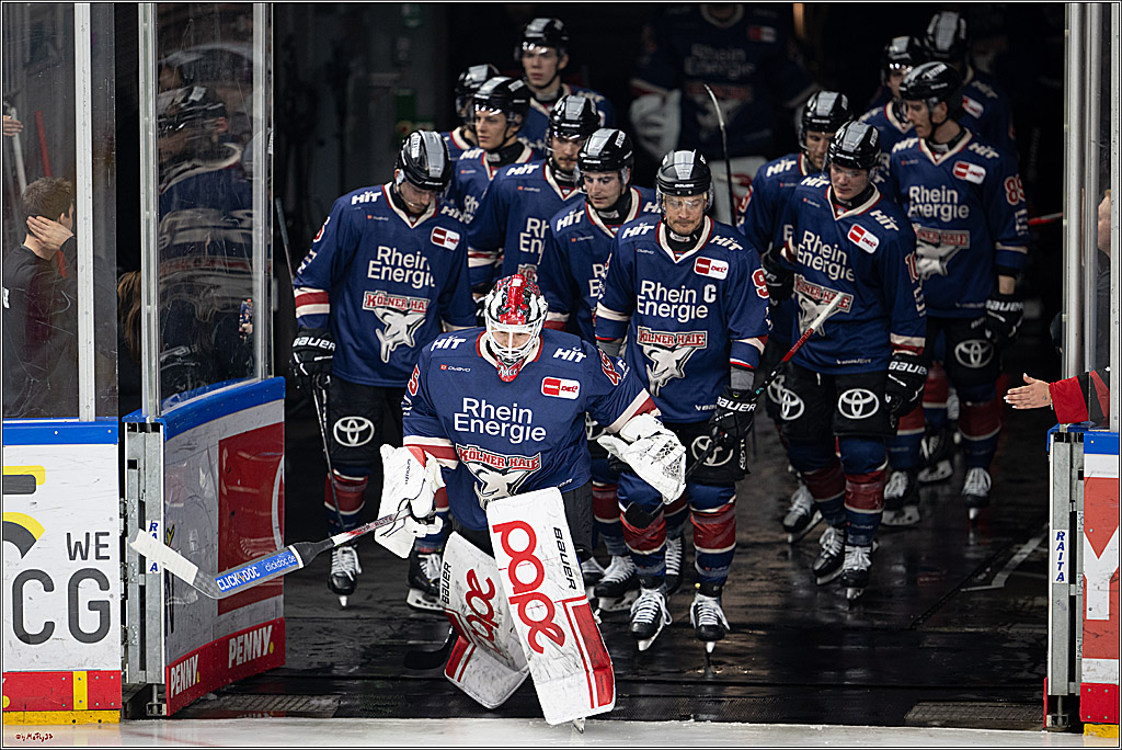 PENNY DEL 1; Kölner Haie - Fischtown Pinguins Bremerhaven; Köln, 07.03.2025