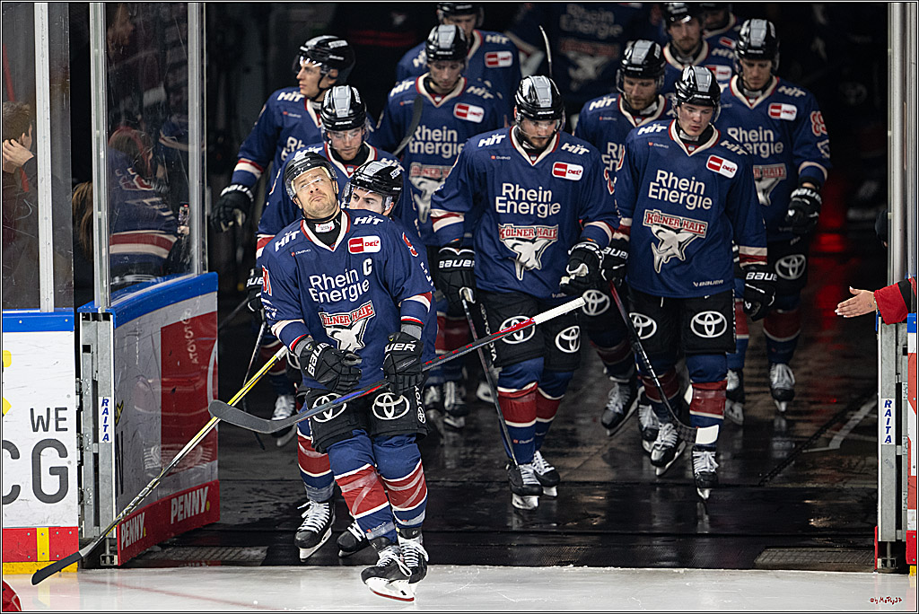 PENNY DEL 1; Kölner Haie - Fischtown Pinguins Bremerhaven; Köln, 07.03.2025