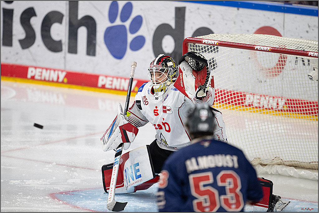 PENNY DEL 1; Kölner Haie - Fischtown Pinguins Bremerhaven; Köln, 07.03.2025
