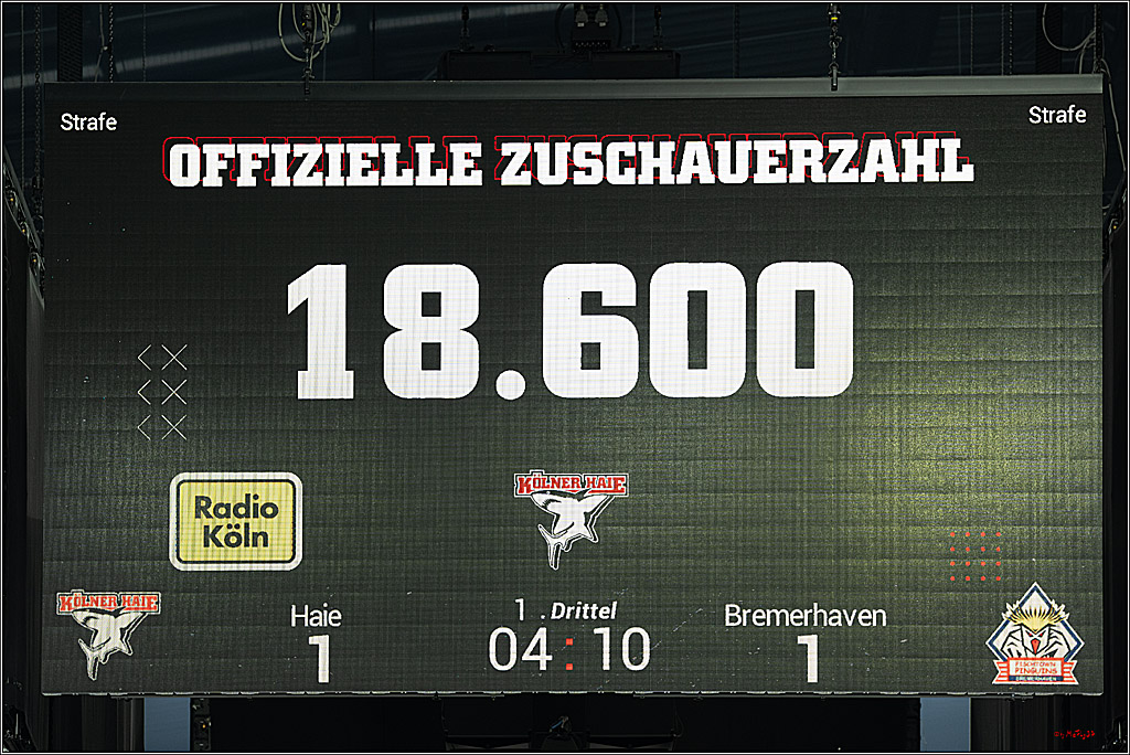 PENNY DEL 1; Kölner Haie - Fischtown Pinguins Bremerhaven; Köln, 07.03.2025