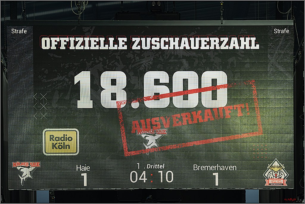 PENNY DEL 1; Kölner Haie - Fischtown Pinguins Bremerhaven; Köln, 07.03.2025