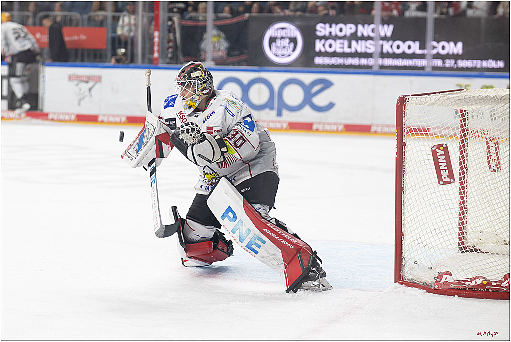 PENNY DEL 1; Kölner Haie - Fischtown Pinguins Bremerhaven; Köln, 07.03.2025