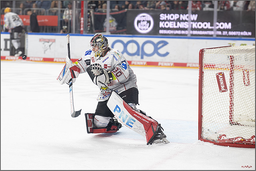 PENNY DEL 1; Kölner Haie - Fischtown Pinguins Bremerhaven; Köln, 07.03.2025