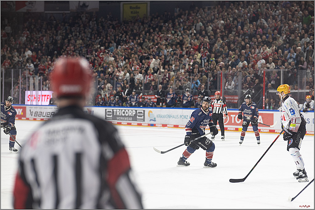 PENNY DEL 1; Kölner Haie - Fischtown Pinguins Bremerhaven; Köln, 07.03.2025