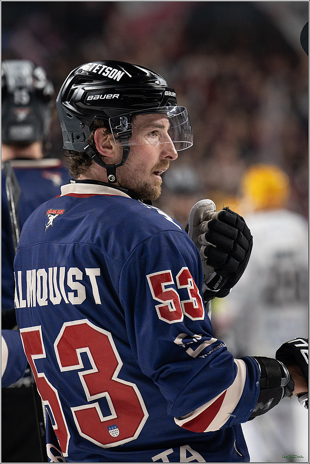 PENNY DEL; Koelner Haie-Fischtown Pinguins; Koeln, 07.03.2025