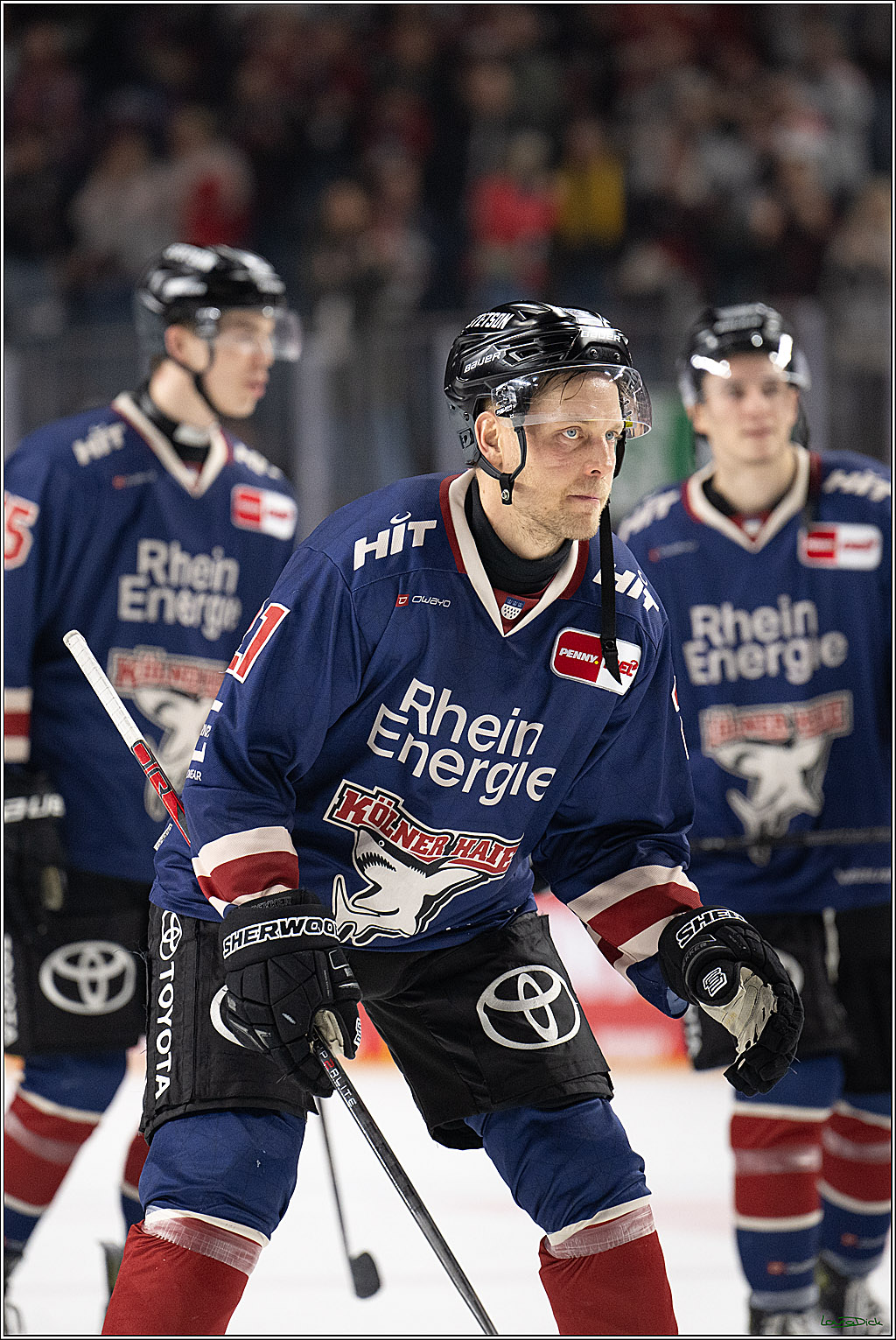 PENNY DEL; Koelner Haie-Fischtown Pinguins; Koeln, 07.03.2025