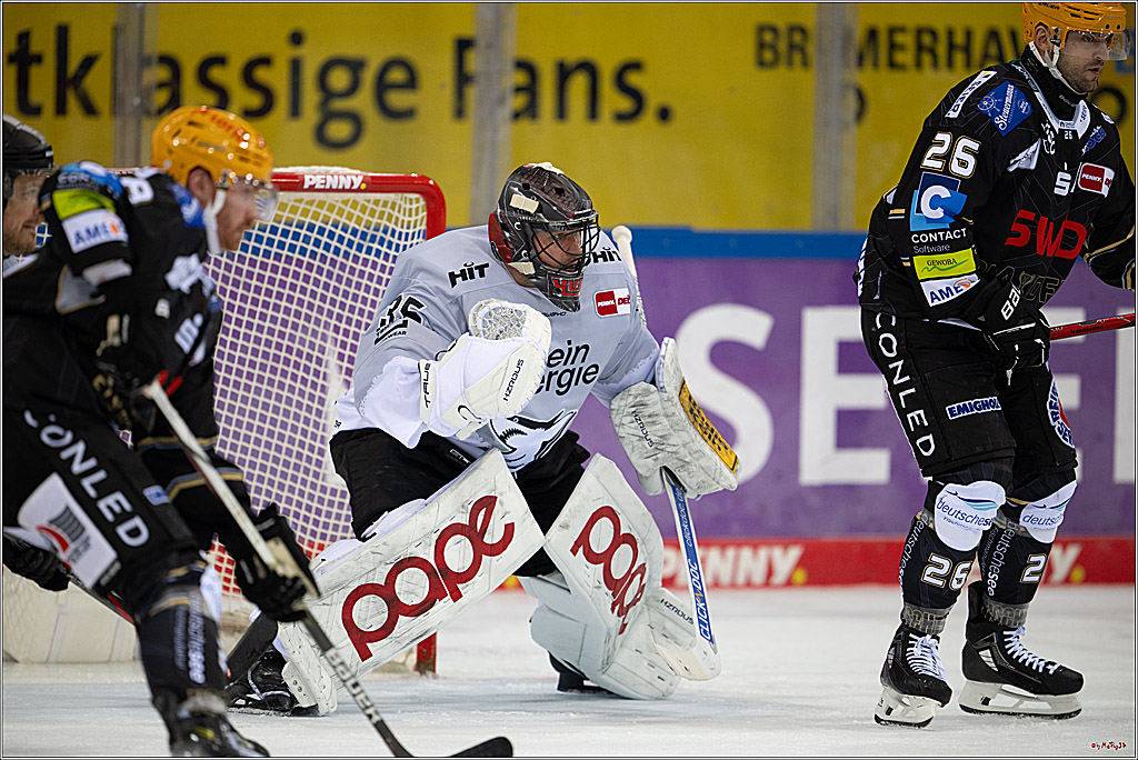 PENNY DEL 1 - Playoff Viertelfinale; Fischtown Pinguins Bremerhaven - Kölner Haie; Bremerhaven, 16.03.2025